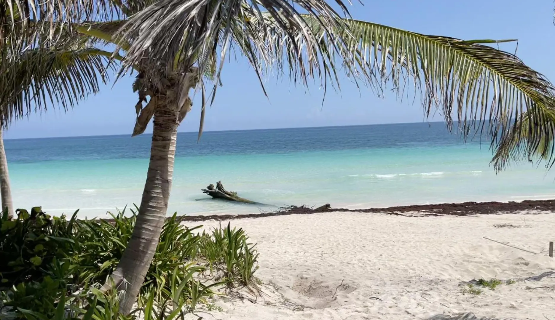 Hotel Phoenix Tulum
