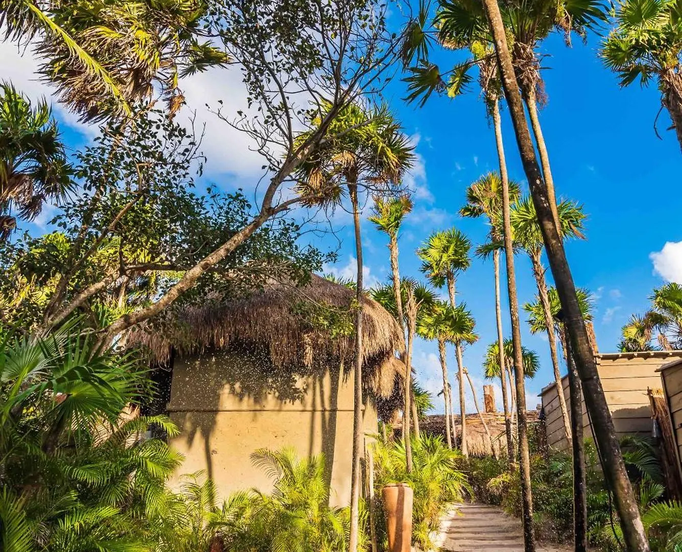 Phoenix Tulum Hotel