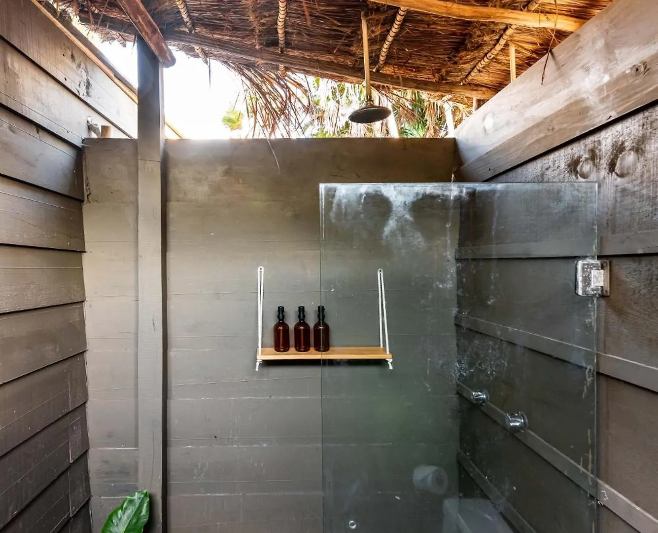 Phoenix Tulum