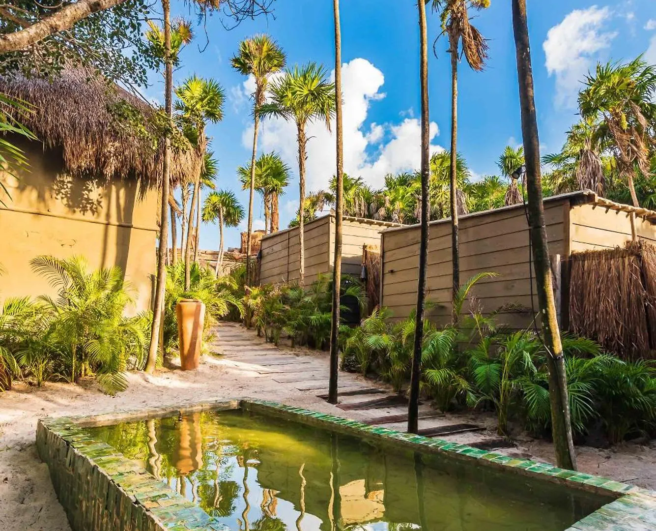 Phoenix Tulum