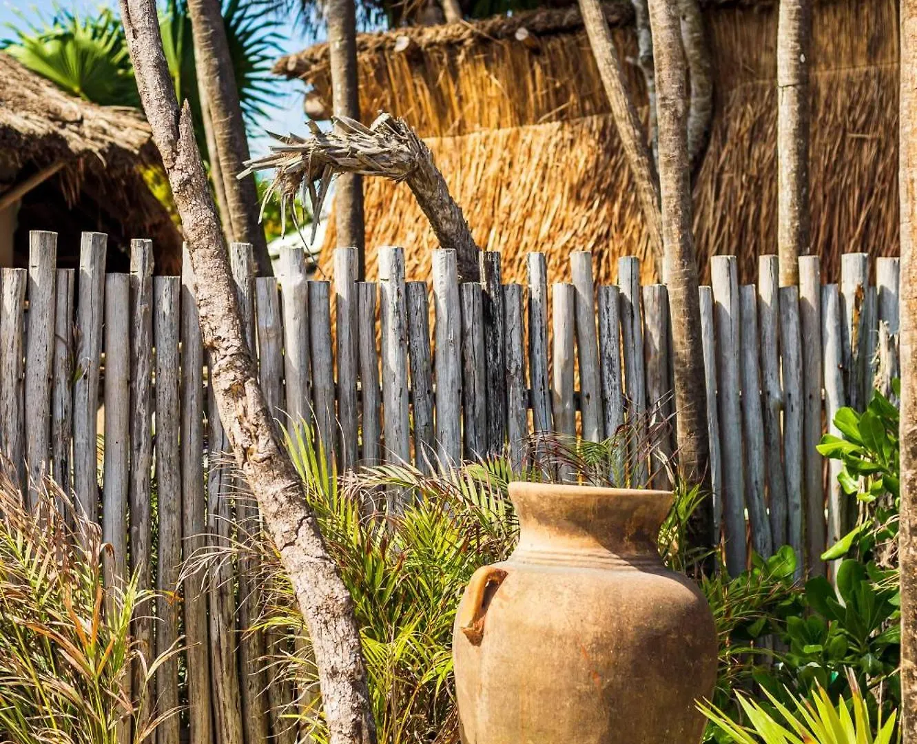 Phoenix Tulum Mexiko