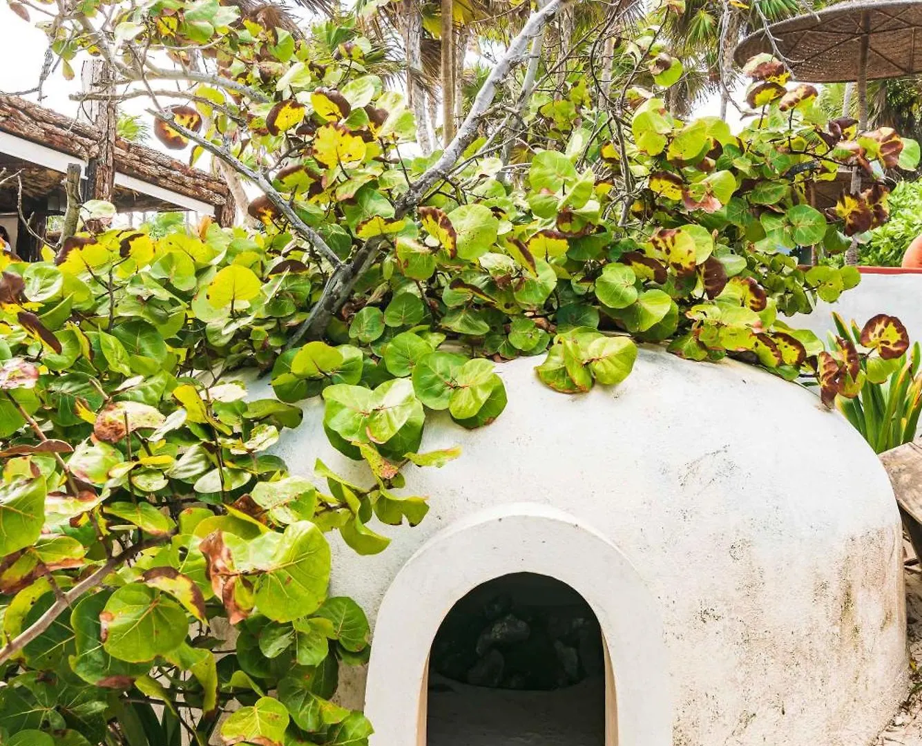 Phoenix Tulum 0*,
