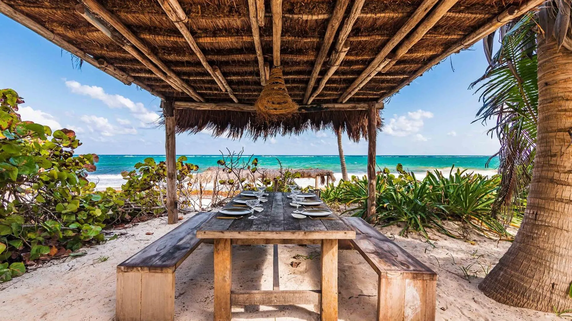 Phoenix Tulum Mexiko