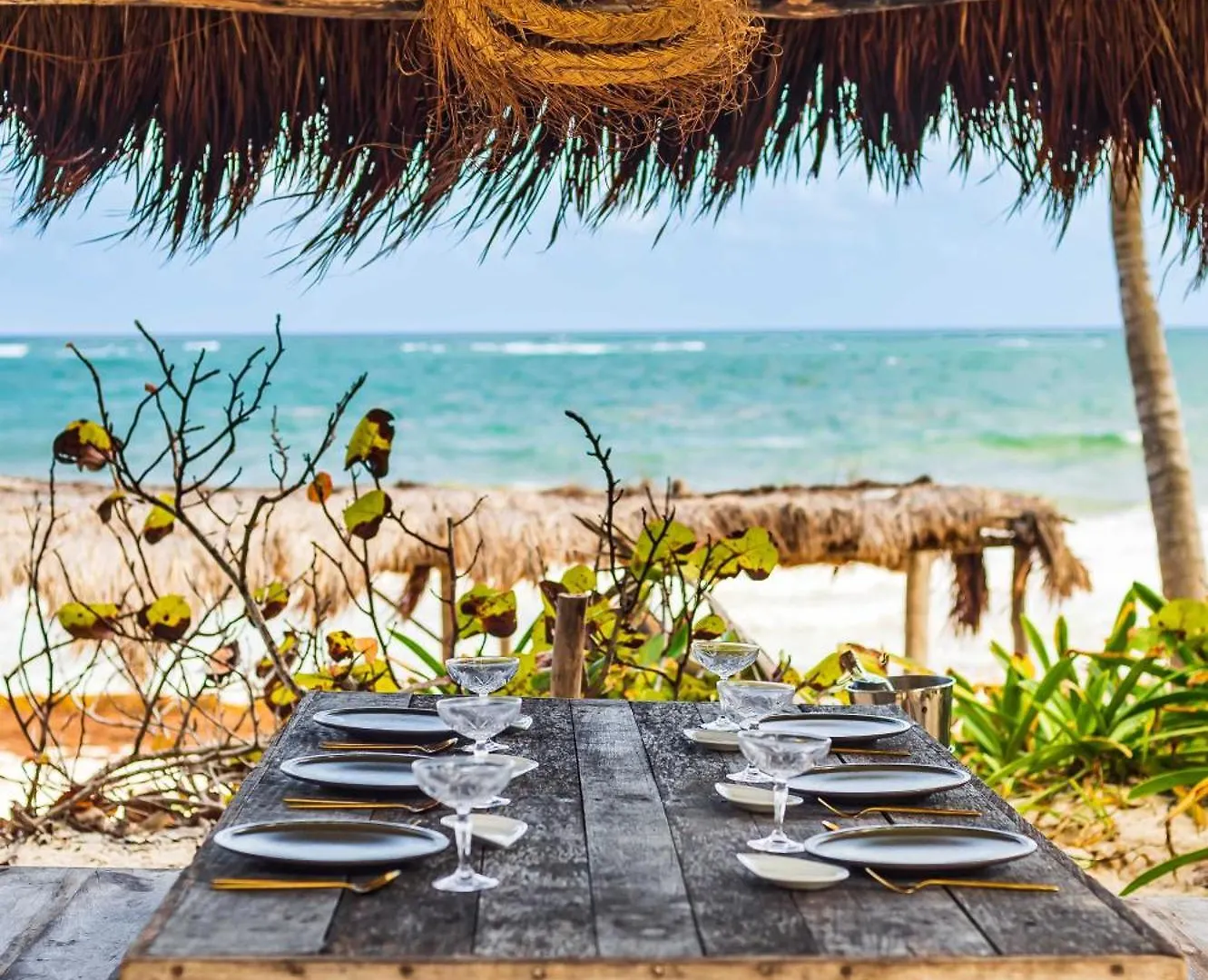 Phoenix Tulum
